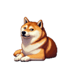 ドット絵 アレンジして使える柴犬（個別スタンプ：3）