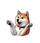 ドット絵 アレンジして使える柴犬（個別スタンプ：4）