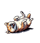 ドット絵 アレンジして使える柴犬（個別スタンプ：11）