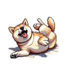 ドット絵 アレンジして使える柴犬（個別スタンプ：12）