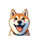 ドット絵 アレンジして使える柴犬（個別スタンプ：13）