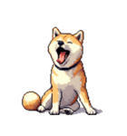 ドット絵 アレンジして使える柴犬（個別スタンプ：14）