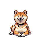 ドット絵 アレンジして使える柴犬（個別スタンプ：15）