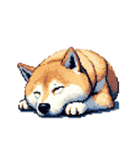 ドット絵 アレンジして使える柴犬（個別スタンプ：18）