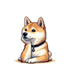 ドット絵 アレンジして使える柴犬（個別スタンプ：19）