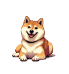 ドット絵 アレンジして使える柴犬（個別スタンプ：20）