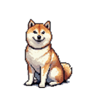 ドット絵 アレンジして使える柴犬（個別スタンプ：23）