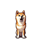 ドット絵 アレンジして使える柴犬（個別スタンプ：25）