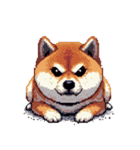 ドット絵 アレンジして使える柴犬（個別スタンプ：28）