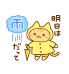 ねここさん25 梅雨（個別スタンプ：1）