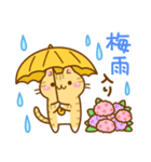 ねここさん25 梅雨（個別スタンプ：3）