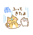 ねここさん25 梅雨（個別スタンプ：4）