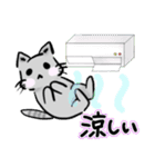 夏のゆる猫スタンプ（個別スタンプ：16）