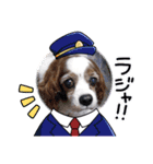 わが家の新旧お犬さん改（個別スタンプ：11）