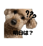 日常ォ2（個別スタンプ：3）