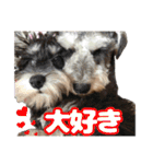 日常ォ2（個別スタンプ：5）