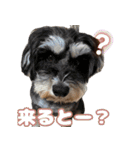 日常ォ2（個別スタンプ：6）