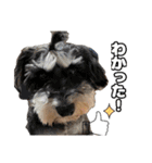 日常ォ2（個別スタンプ：12）