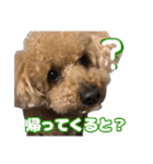 日常ォ2（個別スタンプ：14）