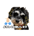 日常ォ2（個別スタンプ：16）