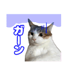 日常ォ2（個別スタンプ：17）