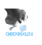 日常ォ2（個別スタンプ：20）