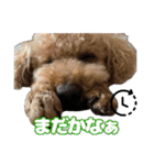 日常ォ2（個別スタンプ：28）