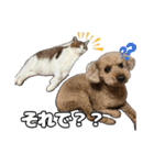 日常ォ2（個別スタンプ：30）