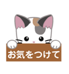 三毛猫ミミの丁寧な伝言板（個別スタンプ：6）