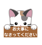 三毛猫ミミの丁寧な伝言板（個別スタンプ：9）