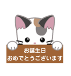 三毛猫ミミの丁寧な伝言板（個別スタンプ：10）