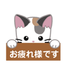 三毛猫ミミの丁寧な伝言板（個別スタンプ：11）