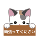 三毛猫ミミの丁寧な伝言板（個別スタンプ：19）