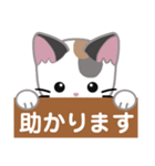 三毛猫ミミの丁寧な伝言板（個別スタンプ：27）