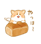 天使のコーギーだよ（個別スタンプ：11）