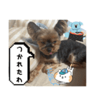 マレン君（個別スタンプ：3）