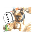 マレン君（個別スタンプ：5）
