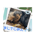 マレン君（個別スタンプ：6）