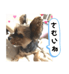 マレン君（個別スタンプ：11）