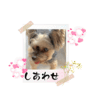 マレン君（個別スタンプ：23）