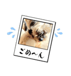 マレン君（個別スタンプ：27）