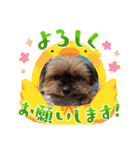 マレン君（個別スタンプ：35）