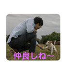 たぶんOK（個別スタンプ：3）