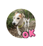 たぶんOK（個別スタンプ：10）