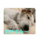 たぶんOK（個別スタンプ：23）