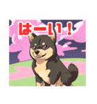 黒柴くんの毎日使える！日常スタンプ（個別スタンプ：1）