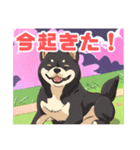 黒柴くんの毎日使える！日常スタンプ（個別スタンプ：2）