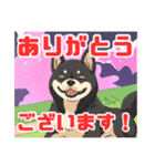黒柴くんの毎日使える！日常スタンプ（個別スタンプ：3）