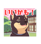 黒柴くんの毎日使える！日常スタンプ（個別スタンプ：4）