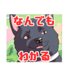 黒柴くんの毎日使える！日常スタンプ（個別スタンプ：10）